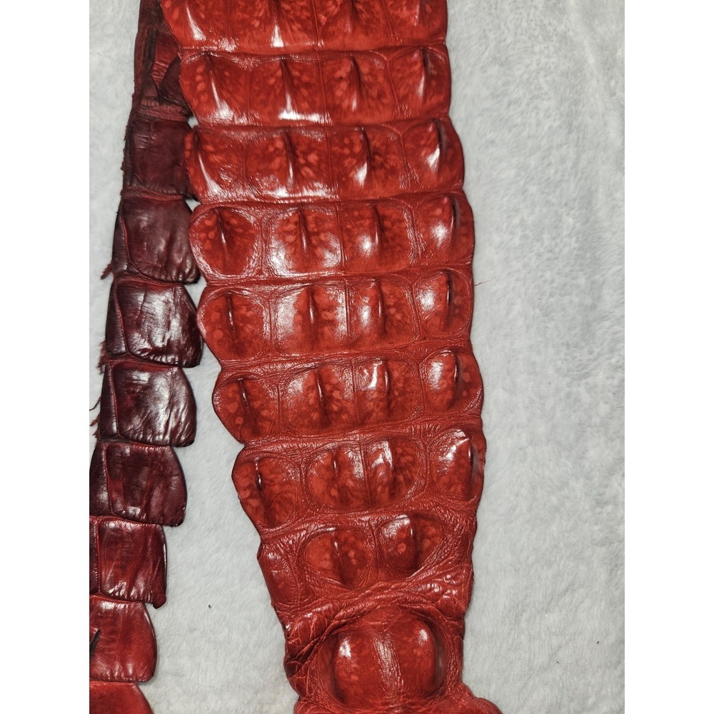 Vintage Caiman Hornback Belt Exotic Western Leather Taxidermy Red Alligatoridae - Picture 3 of 16